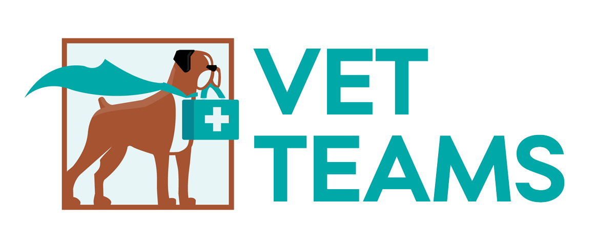 Vet Teams, LLC